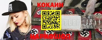 гашик Новозыбков