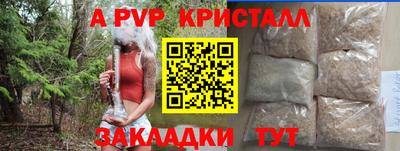 гашик Новозыбков