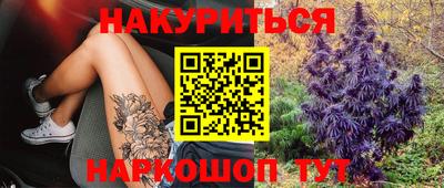 гашик Новозыбков