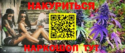СК Новокубанск